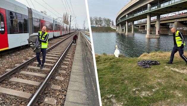 Der Schwan hatte sich keinen guten Rastplatz ausgesucht.