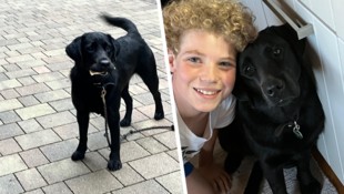 Milli war der Liebling der Familie. Ein herzloser Mensch, der in St. Johann Giftköder auslegte, ...