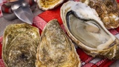 Der Hepatitis-A-Ausbruch in Süditalien geht laut ersten Kontrollen auf kontaminierte Muscheln ...