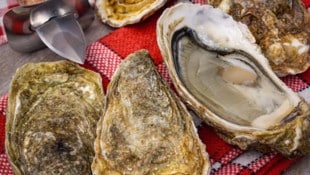 Der Hepatitis-A-Ausbruch in Süditalien geht laut ersten Kontrollen auf kontaminierte Muscheln ...