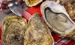 Der Hepatitis-A-Ausbruch in Süditalien geht laut ersten Kontrollen auf kontaminierte Muscheln ...