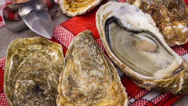 Der Hepatitis-A-Ausbruch in Süditalien geht laut ersten Kontrollen auf kontaminierte Muscheln ...