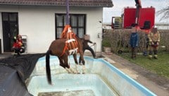 Tierischer Feuerwehreinsatz am Grazer Neufeldweg