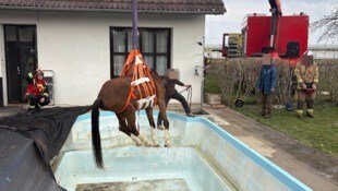 Tierischer Feuerwehreinsatz am Grazer Neufeldweg