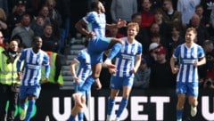 Bei Brighton bejubelt man den knappen Sieg gegen Liverpool ...