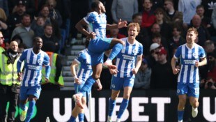 Bei Brighton bejubelt man den knappen Sieg gegen Liverpool ...