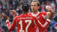 Harry Kane konnte sich erneut in die Torschützenliste eintragen.