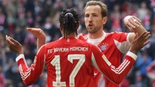 Harry Kane konnte sich erneut in die Torschützenliste eintragen.