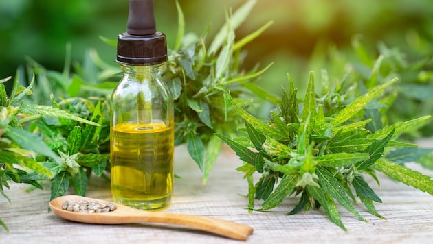 Schmerzmediziner Rudolf Likar arbeitet seit vielen Jahren mit großen Erfolgen mit ...