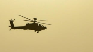 Es soll keine Anzeichen für einen Abschuss durch den Iran gegeben haben. (Symbolbild)