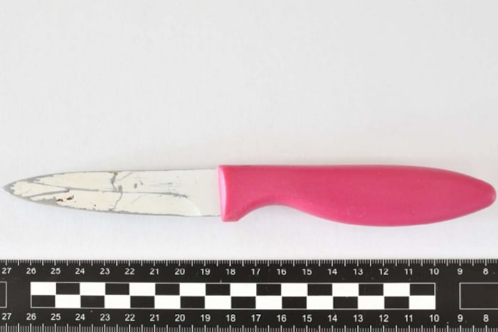 Mit diesem Küchenmesser ging der 29-jährige Betroffene einen Schritt auf die drei WEGA-Beamten ...