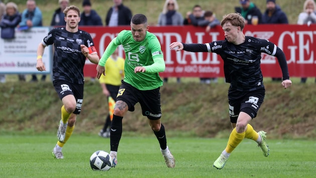 Bei Grünau fühlt sich Nika (M.) pudelwohl.