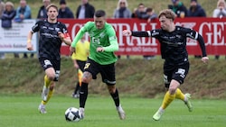 Bei Grünau fühlt sich Nika (M.) pudelwohl.