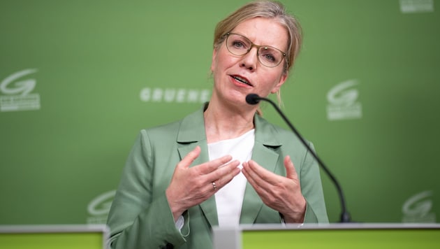 Green Party leader Gewessler wanted to see the draft regulation from Stocker and Babler before ...