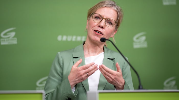Green Party leader Gewessler wanted to see the draft regulation from Stocker and Babler before ...