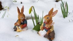 Ostereiersuche im Schnee – mag nicht jeder, wird es in Wien auch nicht geben.