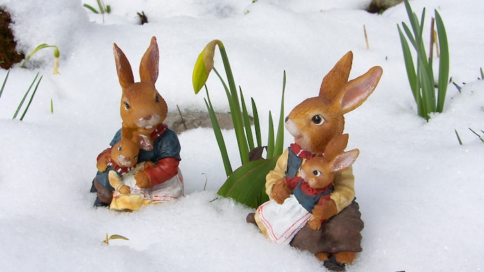 Ostereiersuche im Schnee – mag nicht jeder, wird es in Wien auch nicht geben.