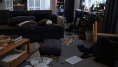 Vermietern von Airbnbs in den USA bot sich ein schreckliches Bild, als sie ihre Wohnungen nach ...