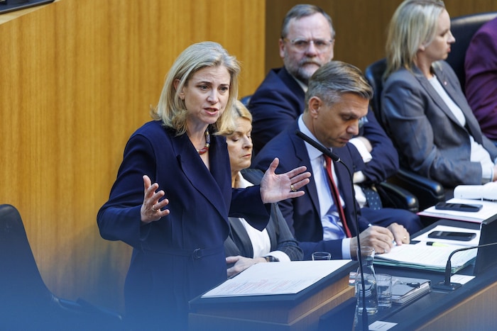 Meinl-Reisinger steht hinter Margenbeschränkung.
