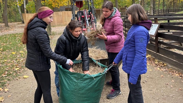 „Anpacken und mithelfen“ heißt es für die Teilnehmer im Camp Tierschutz