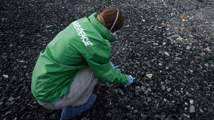 Die Untersuchungsmethoden von Greenpeace werden kritisiert.