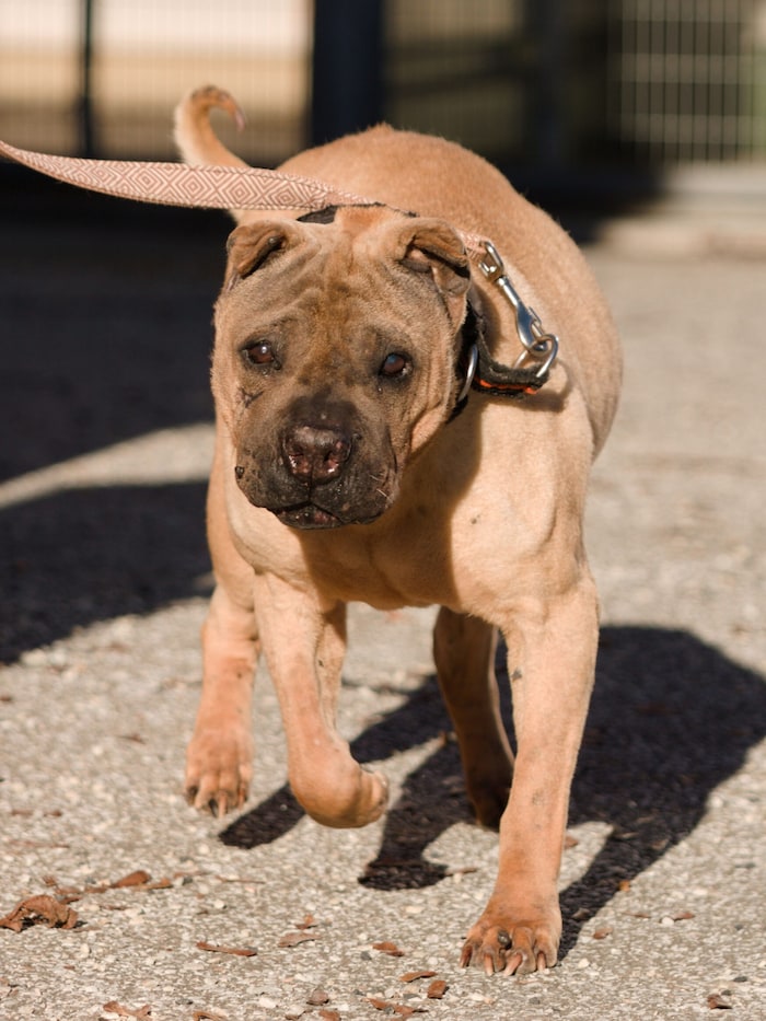 Gibt es ein happy end für die treue Eileen?