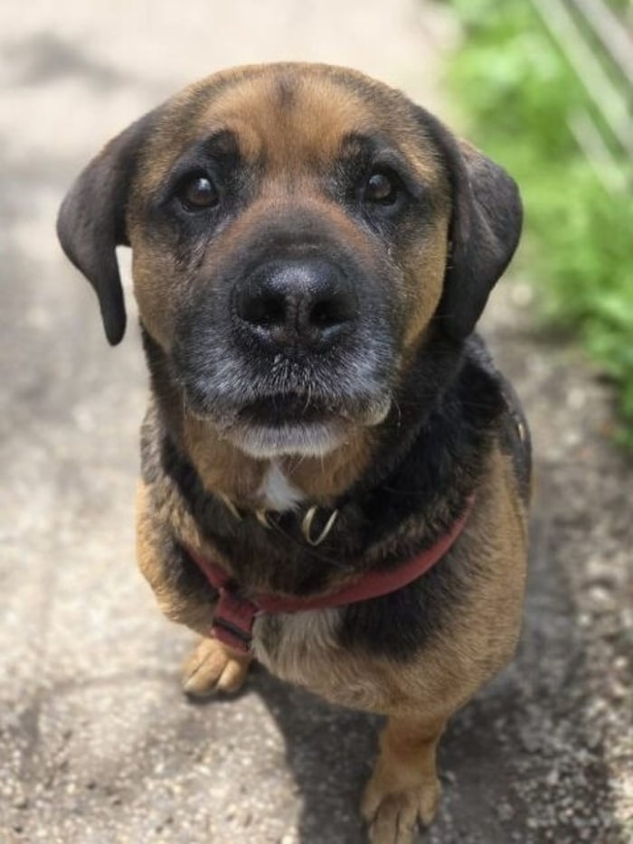 Taifun droht die Hoffnung zu verlieren.