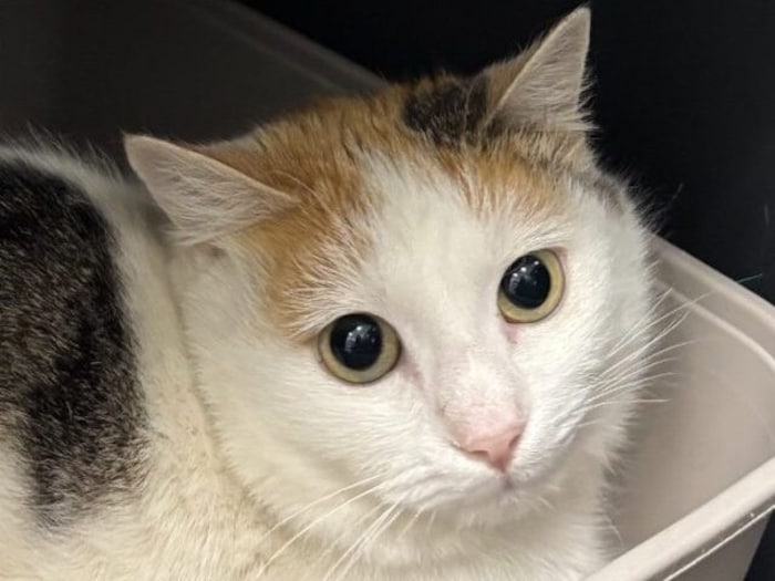 Wer lässt mich für immer in sein Leben?