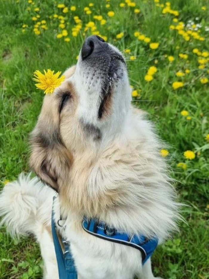 Noch einmal Sonne tanken, dann geht es wieder ins Heim.