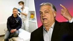Orbán-Herausforderer Péter Magyar lässt bei einem Wiener Arzt Haare für einen Drogentest. Er ...