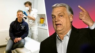 Orbán-Herausforderer Péter Magyar lässt bei einem Wiener Arzt Haare für einen Drogentest. Er ...