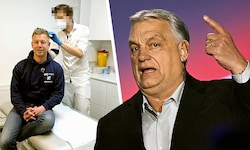 Orbán-Herausforderer Péter Magyar lässt bei einem Wiener Arzt Haare für einen Drogentest. Er ...