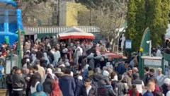 Zigtausende Menschen versammelten sich am Freitag auf der Donauinsel, um dort das Ende des ...