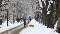 Auch in Innsbruck könnte es – zumindest ein bisschen – weiß werden.
