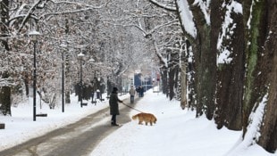 Auch in Innsbruck könnte es – zumindest ein bisschen – weiß werden.