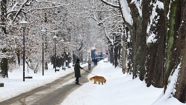 Auch in Innsbruck könnte es – zumindest ein bisschen – weiß werden.