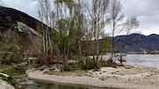 In der Region Wachau breiten sich sogenannte Neophyten (nicht heimische Pflanzen) aus.