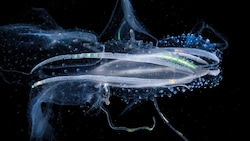 Wie futuristische Raumschiffe unter Wasser: Manfred Wakolbingers nächtliche Aufnahme einer ...