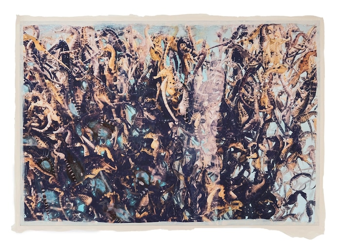 Seepferdchen in einer Zuchtstation: Regina Anzenberger „Floating Bonds V“ 2024