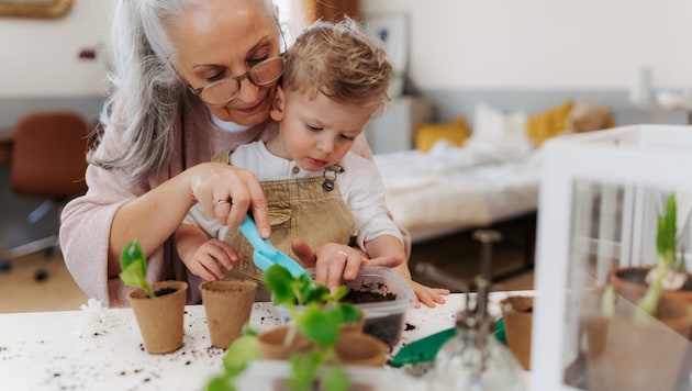 Symbolbild: Großeltern müssen oft einspringen, sind aber heutzutage selbst verplanter als früher ...