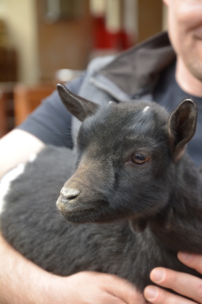 Die kleine Susi – das Flaschenkind von Andreas Andert – ist flott im Park unterwegs.
