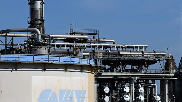 Regierungsberater Peter Vorhofer hat ein Anreizsystem für Unternehmen vorgeschlagen, damit diese ...