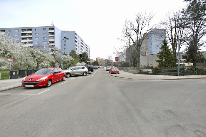 In der Robert-Lach-Gasse sorgte der Rowdy für nachhaltigen Wirbel.