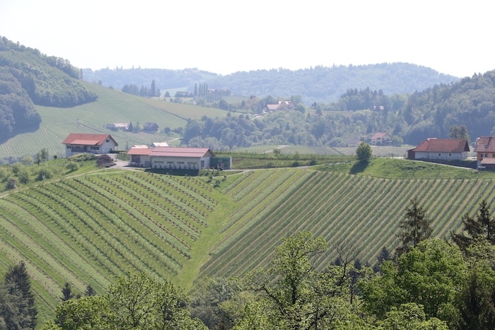 Der Jaglhof thront in den südsteirischen Weinbergen.