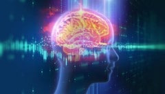 Das Gehirn muss geschützt und trainiert werden!