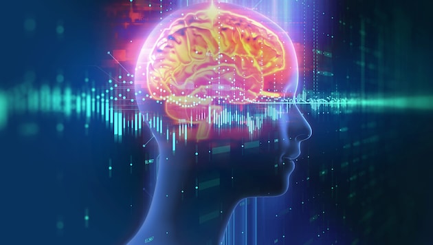 Das Gehirn muss geschützt und trainiert werden!