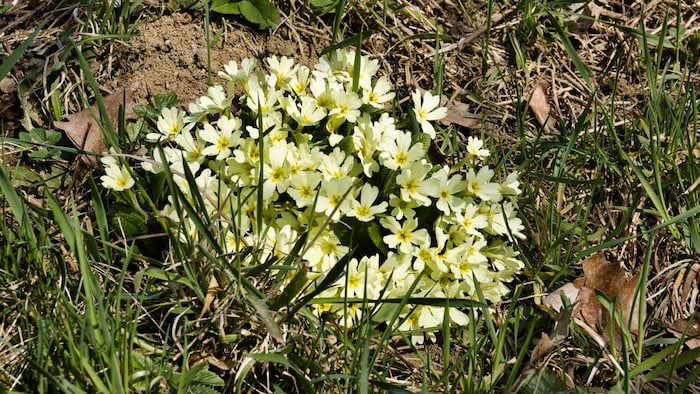 Endlich: Der Frühling ist da!
