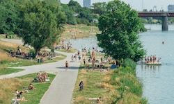 So sieht die Donauinsel im Hochsommer wieder aus.