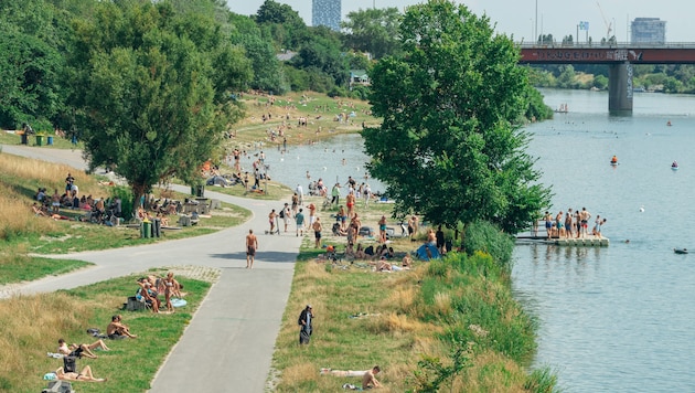 Um ein Haar wäre hier heute einfach nur ein hoher Damm gestanden.