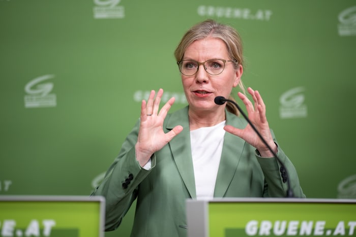 Gewessler will mehr Wind machen: 100 Windräder pro Jahr sollen es sein.